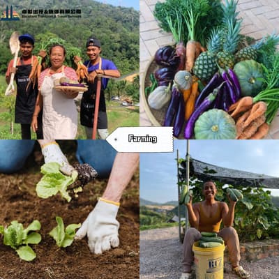 Farming- Talula Hill Farm